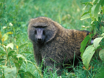 Έκανε άνω-κάτω πόλη στο Νιου Τζέρσεϊ