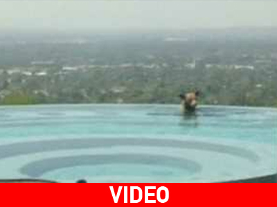 Ένας απρόσκλητος επισκέπτης