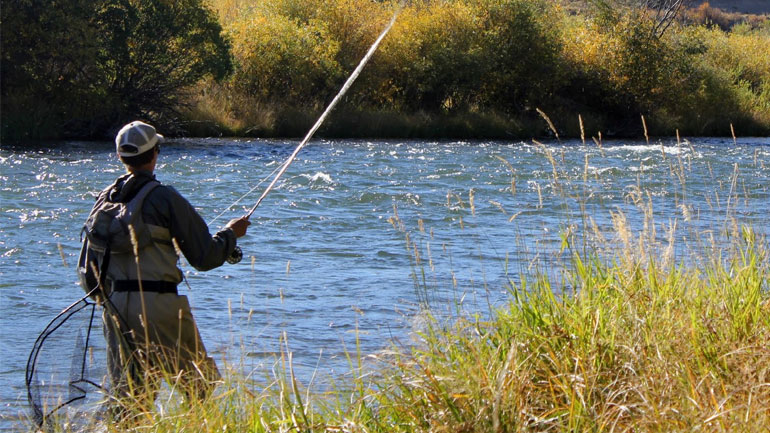 Απαγόρευση αλιείας στα υδάτινα οικοσυστήματα εσωτερικών υδάτων της Ηπείρου