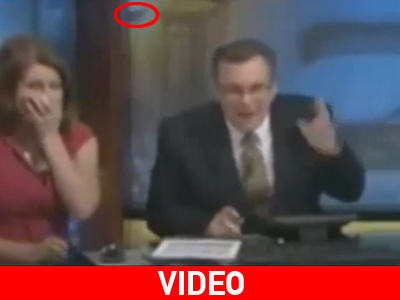 Εισβολή νυχτερίδας σε τηλεοπτικό σταθμό!