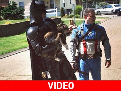 Η.Π.Α.: Υπερήρωες σώζουν αβοήθητο γατάκι