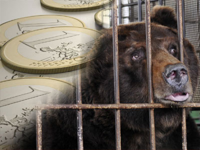 FΤ: «Αρκούδες» σε κλουβιά οι καταθέτες της Τράπεζας Κύπρου