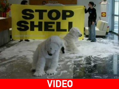 Greenpeace: Έκκληση για προστασία της Αρκτικής