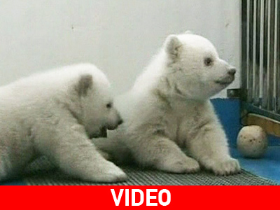 «Έκλεψαν» την παράσταση