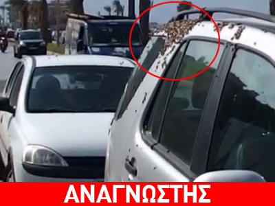 Σμήνος μελισσών επιτίθεται σε αυτοκίνητο!