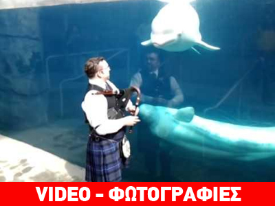 Ο… Σκωτσέζος γητευτής των λευκών φαλαινών!