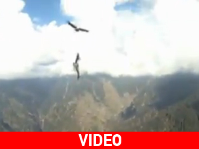 Τι μπορεί να πάθεις από ένα… πουλί!