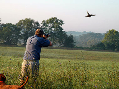 Ζάκυνθος: Μπεκάτσες, κρυφτείτε, έρχονται οι κυνηγοί