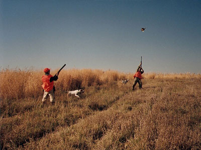 Ανεξέλεγκτη η λαθροθηρία στα Ιόνια νησιά