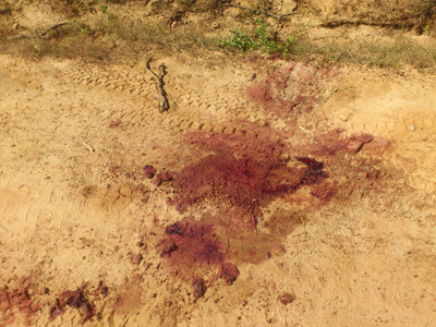 Αιματηρές συμπλοκές στην ανατολική Ουκρανία