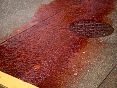 Αυστραλία: Νεκροί δύο ομογενείς σε τροχαίο δυστύχημα