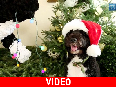 «Τετράποδη» επιθεώρηση των στολισμών στον Λευκό Οίκο