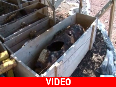 Ισημερινός: Ελεγχόμενη έκρηξη βομβών από τον Β’ Παγκόσμιο Πόλεμο