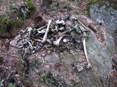 Μακάβριο εύρημα στον Ωρωπό