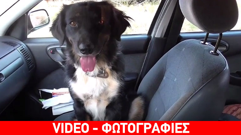 Bono – Η απόλυτη ιστορία αφοσίωσης