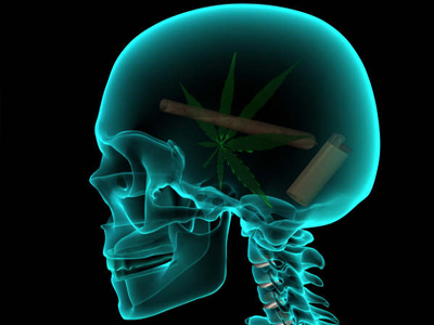 Πώς επιδρά η μαριχουάνα στον εγκέφαλο