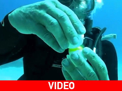 Τι συμβαίνει όταν ένα αυγό σπάει μέσα στη θάλασσα;