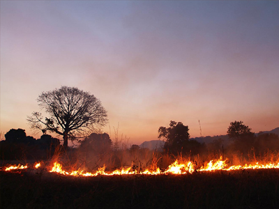 Οι νοτιάδες έφεραν φωτιές στην Κρήτη