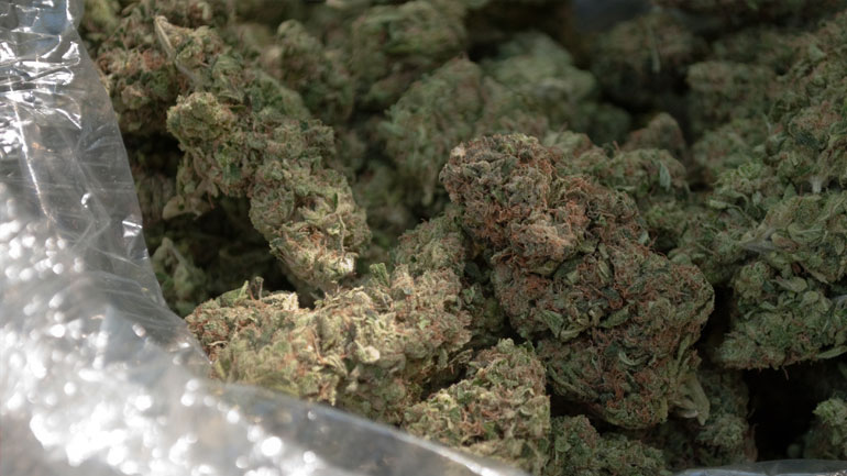 Η έρευνα γύρω από το σπίτι έβγαλε… λαβράκι