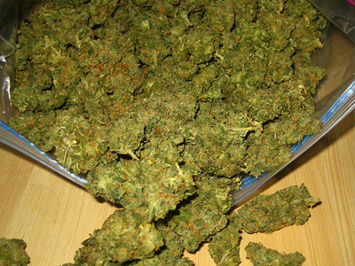 Συλλήψεις για κάνναβη στο Ηράκλειο Κρήτης