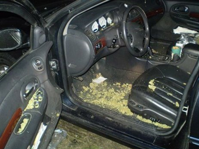 Ο έλεγχος της ΔΙ.ΑΣ. οδήγησε σε σύλληψη