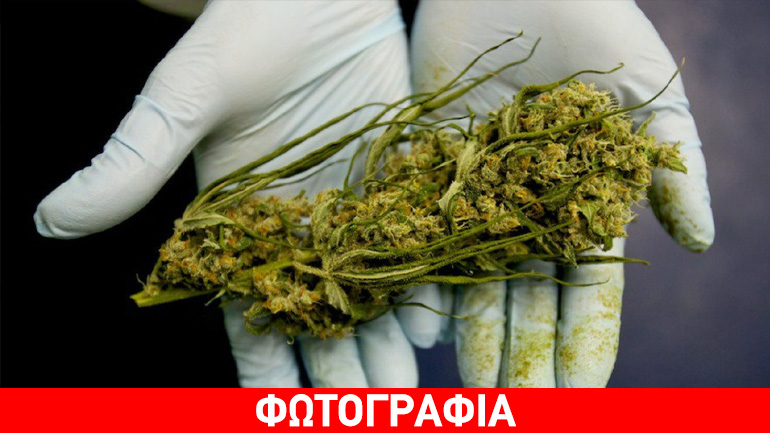 Είχε αδυναμία στα… γλαστράκια του!