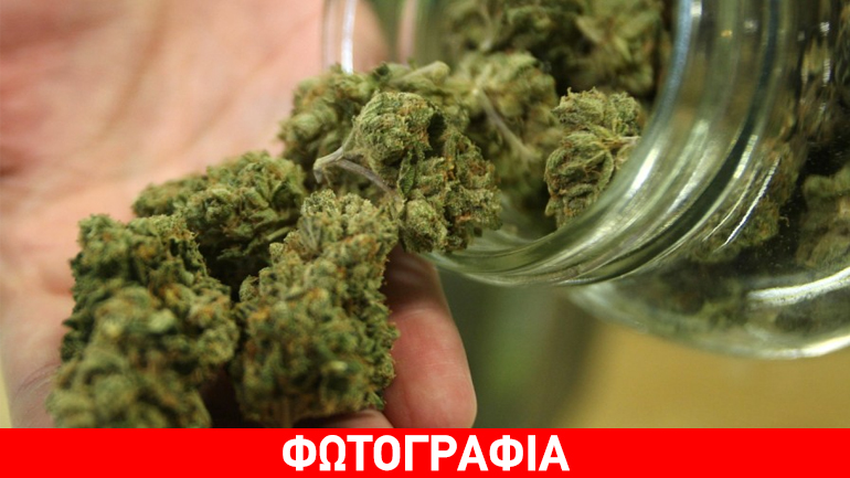 Καλλιεργούσε κάνναβη στην αυλή