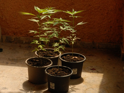 Είχε αδυναμία στις… γλάστρες!