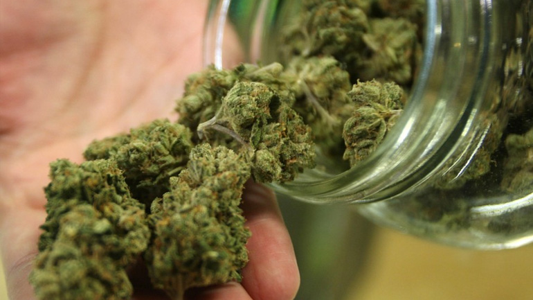 Η κάνναβη τον έστειλε… κρατητήριο!