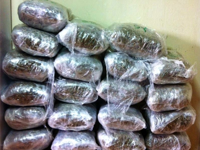 Ταξίδευαν παρέα με το 2χρονο παιδί τους και… 26 κιλά χασίς