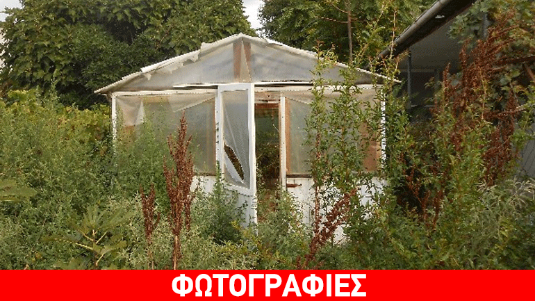 Έστησαν θερμοκήπιο κάνναβης μέσα στο ρέμα
