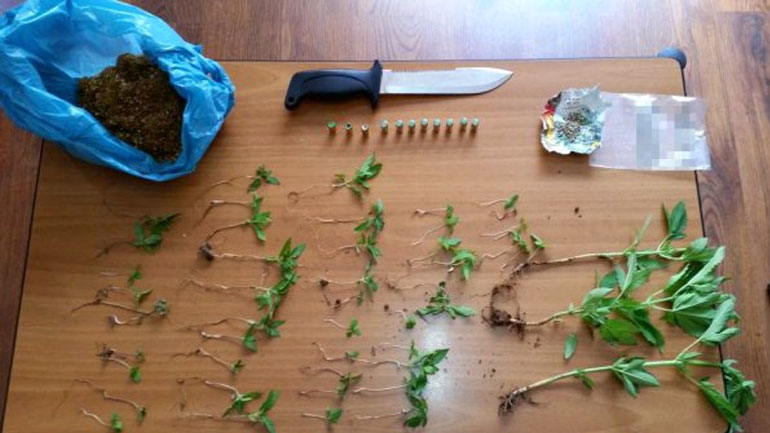 Καλλιεργούσε κάνναβη στο σπίτι και το… μαντρί!