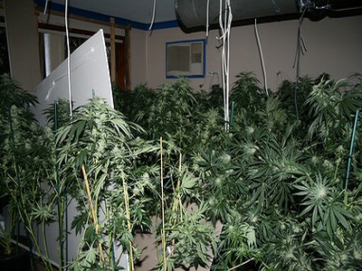 Δεν… ξεμύτιζε από το σπίτι