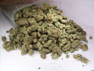 Ο σκύλος μύρισε τα ναρκωτικά