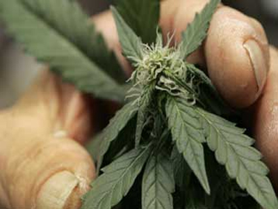 Κυκλοφορούσε… «φορτωμένος»