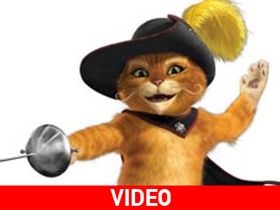 Ο γάτος του Sherk στον κινηματογράφο