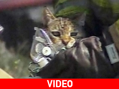 Η.Π.Α.: Διάσωση κατοικίδιων από φλεγόμενο σπίτι