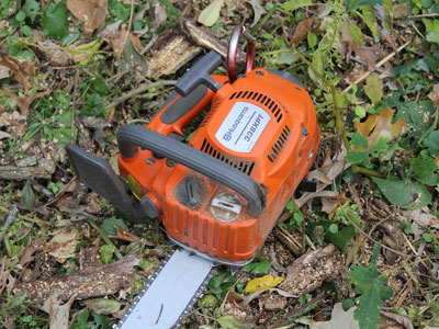 Ορεστιάδα: Τα αλυσοπρίονα από το μαντρί έκαναν… φτερά!