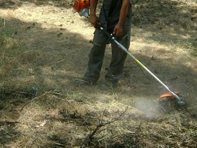 Χανιά: Λήψη μέτρων για την αποφυγή πυρκαγιών