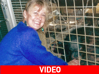 Νέο πρόσωπο…νέα ζωή