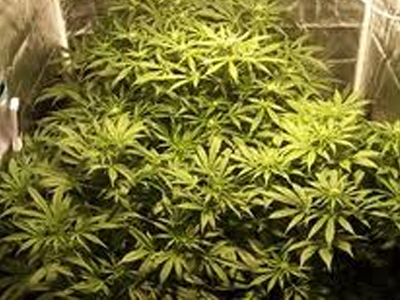 Είχε αδυναμία στον…κήπο του