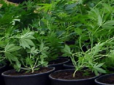 Είχε αδυναμία στις… γλάστρες