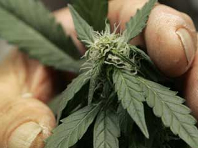 Είχε αδυναμία στο…φυτό του