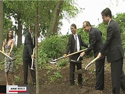 Φύτεψαν κερασιές για τα θύματα της Ιαπωνίας