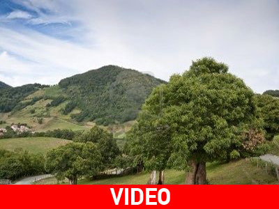 Σωτηρία…μέσω Κίνας