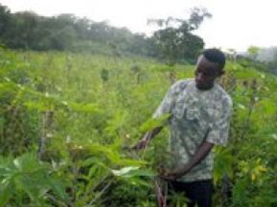 «Επικίνδυνη η οικονομική πολιτική της Κίνας στην Αιθιοπία»