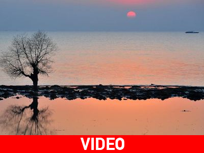 «Υγρός τάφος» για 11 αγγελούδια στην Κίνα «Υγρός τάφος» για 11 αγγελούδια στην Κίνα