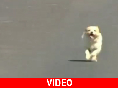 Τρέμε… Forrest Gump!