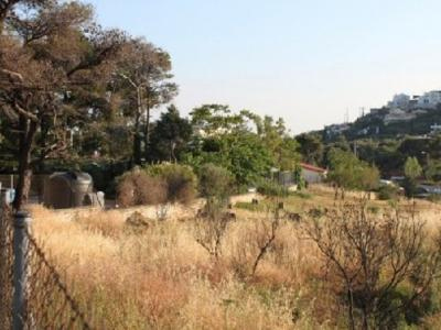 Κρήτη: Υποχρεωτικός ο καθαρισμός οικοπέδων εντός των ορίων του δήμου Χανίων