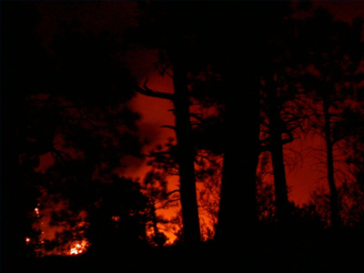 Πυρκαγιά σε χορτολιβαδική έκταση στο Λασίθι